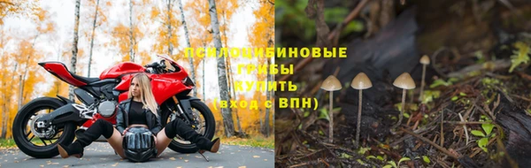 дурь Заволжск