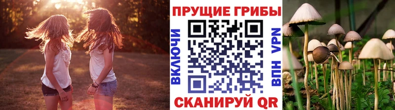 где купить наркоту  Катайск  сайты даркнета состав  Псилоцибиновые грибы Magic Shrooms 